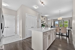 Central kitchen island featuring a light-toned countertop and cabinetry with contemporary hardware - 