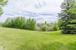 Expansive green lawn with mature trees and natural landscaping - 