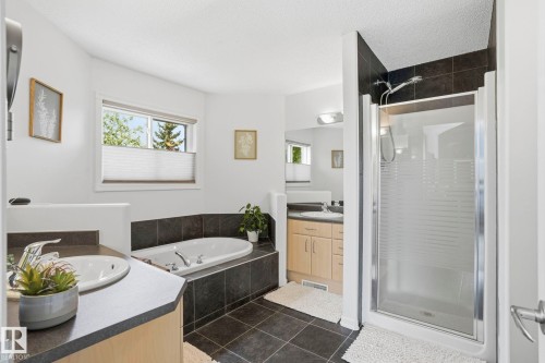 204 Sheppard Court, Edmonton, AB - Indoor Photo Showing Bathroom