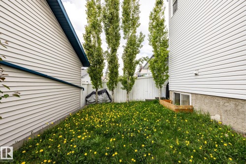 Grassed yard area featuring a white privacy fence and mature trees - 2036 Towne Centre Boulevard, Edmonton, AB - Outdoor