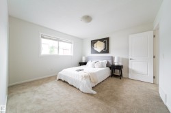 Neutral-toned carpeting spans the floor, complemented by a single large window with white trim - 