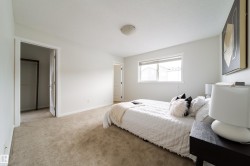 Light-filled room featuring neutral-toned carpet flooring and a window with white trim - 