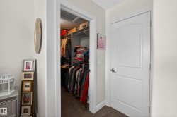 Spacious walk-in closet featuring built-in shelving, hanging rods, and carpet flooring - 
