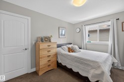 Bedroom featuring light gray wall paint and brown carpet flooring - 