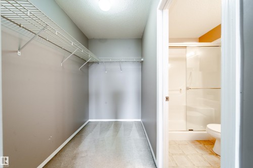 Walk-in closet featuring wire shelving and carpet flooring - 115 4309 33 Street, Stony Plain, AB 