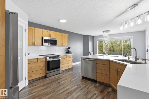 3948 42 Street, Edmonton, AB - Indoor Photo Showing Kitchen With Double Sink