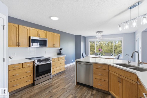 3948 42 Street, Edmonton, AB - Indoor Photo Showing Kitchen With Double Sink