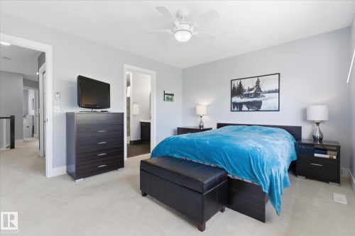 3948 42 Street, Edmonton, AB - Indoor Photo Showing Bedroom