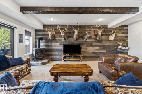 3948 42 Street, Edmonton, AB - Indoor Photo Showing Living Room With Fireplace