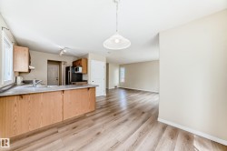 Open-concept kitchen and living area featuring wood-finish flooring, light wood cabinetry, a light-toned countertop, and a double-basin sink - 