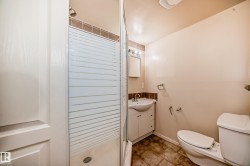 Full bathroom featuring a shower stall with a patterned glass enclosure, a white ceramic toilet, and a vanity with an integrated sink - 