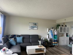 Living area with wood-finish flooring, light-colored walls, and a textured ceiling - 