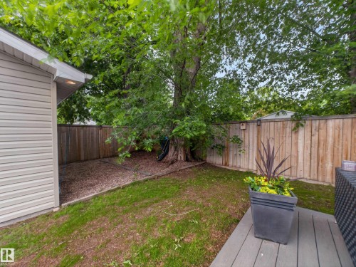 Expansive backyard featuring a composite deck, mature trees, wood privacy fencing, and a manicured lawn area - 15803 83 Avenue, Edmonton, AB 