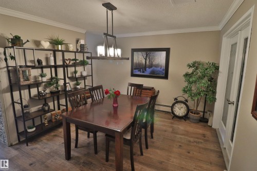 Dining area featuring wood-finish flooring and neutral wall tones - 42 Alpaugh Crst, Leduc, AB 