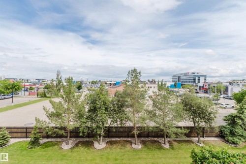 Expansive green lawn with mature trees and a wooden privacy fence, offering a backdrop of urban and commercial structures - 323 4831 104A Street, Edmonton, AB 