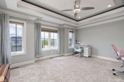 Spacious room featuring multiple large windows, soft gray wall paint, and plush carpet flooring, closet - 