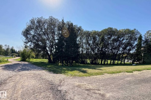 Extensive gravel driveway with a grassy area bordered by mature trees - 3054 28 Avenue, Edmonton, AB 