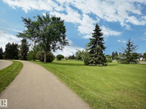 Expansive green space featuring a paved pathway, mature evergreen trees, and deciduous trees - 9551 85 Street, Edmonton, AB 