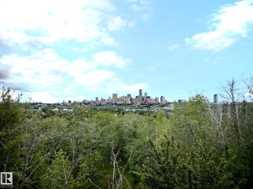 Distant city skyline over a verdant landscape - 9551 85 Street, Edmonton, AB 