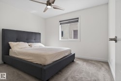 Carpeted room featuring a ceiling fan with integrated lighting, white walls, and a window with a roller shade - 