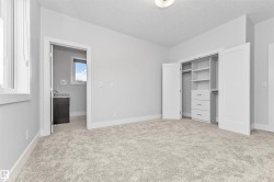Spacious room featuring light gray walls, plush carpeting, a built-in closet system with shelving and drawers, a window with white trim, and a doorway revealing a vanity with a dark countertop and a small window - 