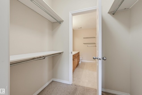 Walk-in closet with carpet flooring, white shelving, and chrome hanging rods - 203 10719 80 Avenue, Edmonton, AB 
