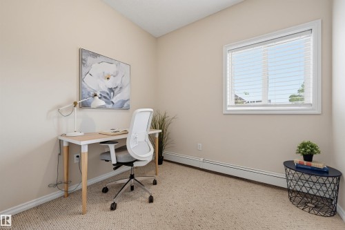 Carpeted room with a single window featuring white blinds, neutral wall paint, and white trim molding - 203 10719 80 Avenue, Edmonton, AB 