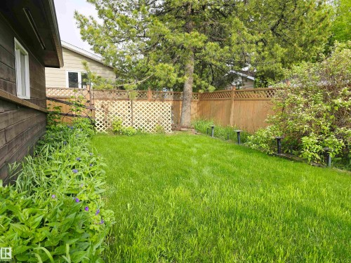 Established perennials. - 66 Miller Avenue, Spruce Grove, AB 