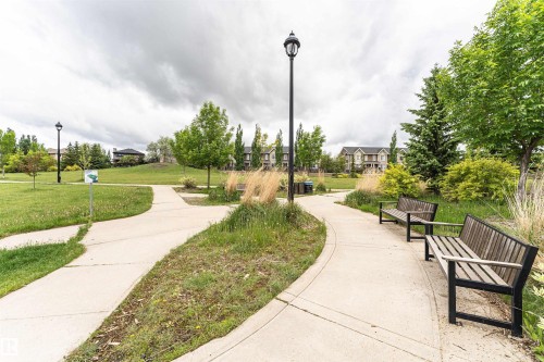Paved pathways meandering through green spaces, mature trees, and shrubbery - 505 1230 Windermere Way, Edmonton, AB 