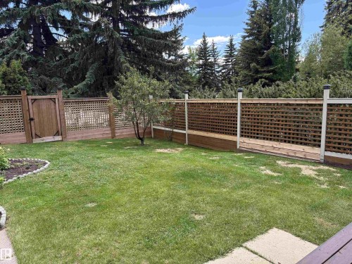 Expansive backyard featuring a manicured lawn, a wood lattice fence, a wood gate, a small tree, and a planter bed with stone edging - 14016 85 Avenue, Edmonton, AB 