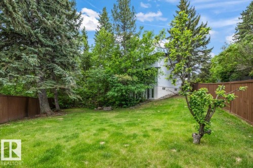 Expansive green lawn surrounded by mature trees and a privacy fence - 7 Glacier Place, St. Albert, AB 