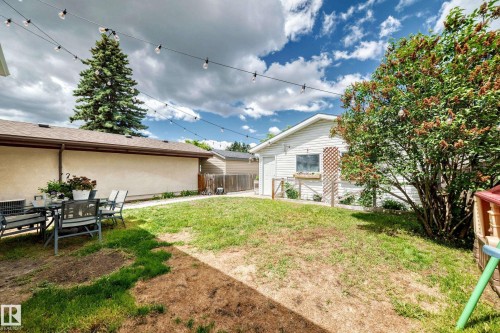Expansive backyard featuring a mature evergreen tree, string lighting, and a detached white-sided garage with a window box - 5106 19 Avenue, Edmonton, AB 