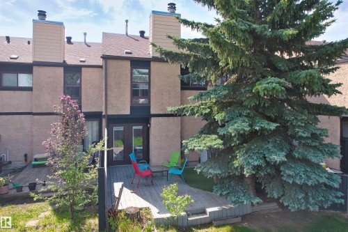 Rear exterior showcasing a multi-level wooden deck, dual-pane patio doors, and a mature evergreen tree - 12128 25 Avenue, Edmonton, AB - Outdoor