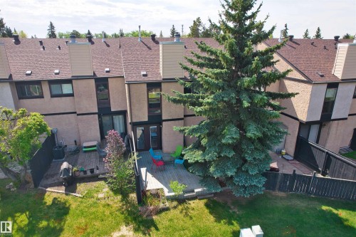 Private backyard featuring a large wood-finish deck with integrated planters - 12128 25 Avenue, Edmonton, AB - Outdoor