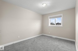 Carpeted room featuring a double-paned window, neutral wall paint, white baseboards, and a flush-mount ceiling light - 