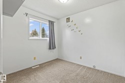 Bright room featuring white walls, a double-pane window, and textured carpeting - 