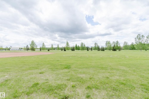 Expansive green lawn with scattered trees and a visible dirt infield - 21223 58 Avenue, Edmonton, AB 
