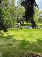 Expansive green lawn featuring a water feature, surrounding mature trees, and a decorative windmill - 