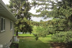 Spacious backyard with mature evergreen trees, manicured lawn, and a visible water feature - 
