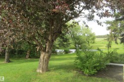 Expansive green lawn with mature trees and established shrubs - 