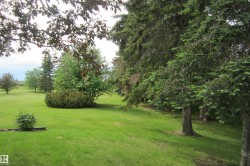 Expansive green lawn with mature evergreen trees and various deciduous plantings - 