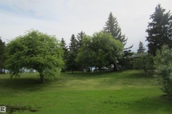Expansive lawn area featuring mature trees and established evergreens - 