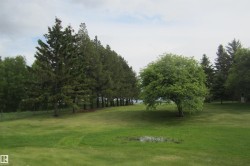 Expansive green lawn with mature evergreen and deciduous trees - 