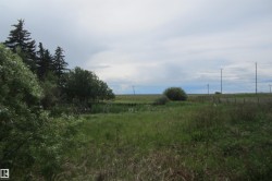 Expansive open field with natural grass and scattered trees, featuring a distinct treeline, varied foliage, and a visible fence line - 