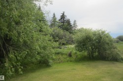 Expansive green lawn surrounded by mature trees and varied shrubbery under a natural sky - 