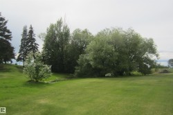 Expansive green space featuring mature trees, a small stream, and varied foliage - 