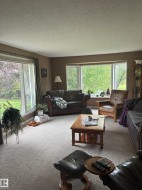 Spacious living area featuring expansive windows, neutral tone carpeting, and textured ceilings - 