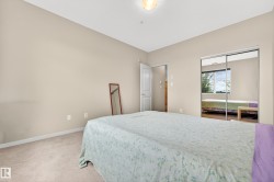 Neutral tone walls with light-colored carpeting - 