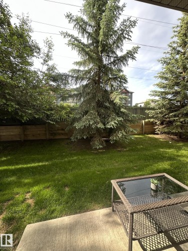 Spacious backyard with a concrete patio, mature evergreen trees, and a wooden privacy fence - 116 5005 165 Avenue, Edmonton, AB 