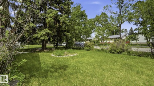 Spacious lawn with established evergreen and deciduous trees - 13008 105 Street Nw, Edmonton, AB 